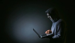 头部大卖攻击新人，赔了数百万